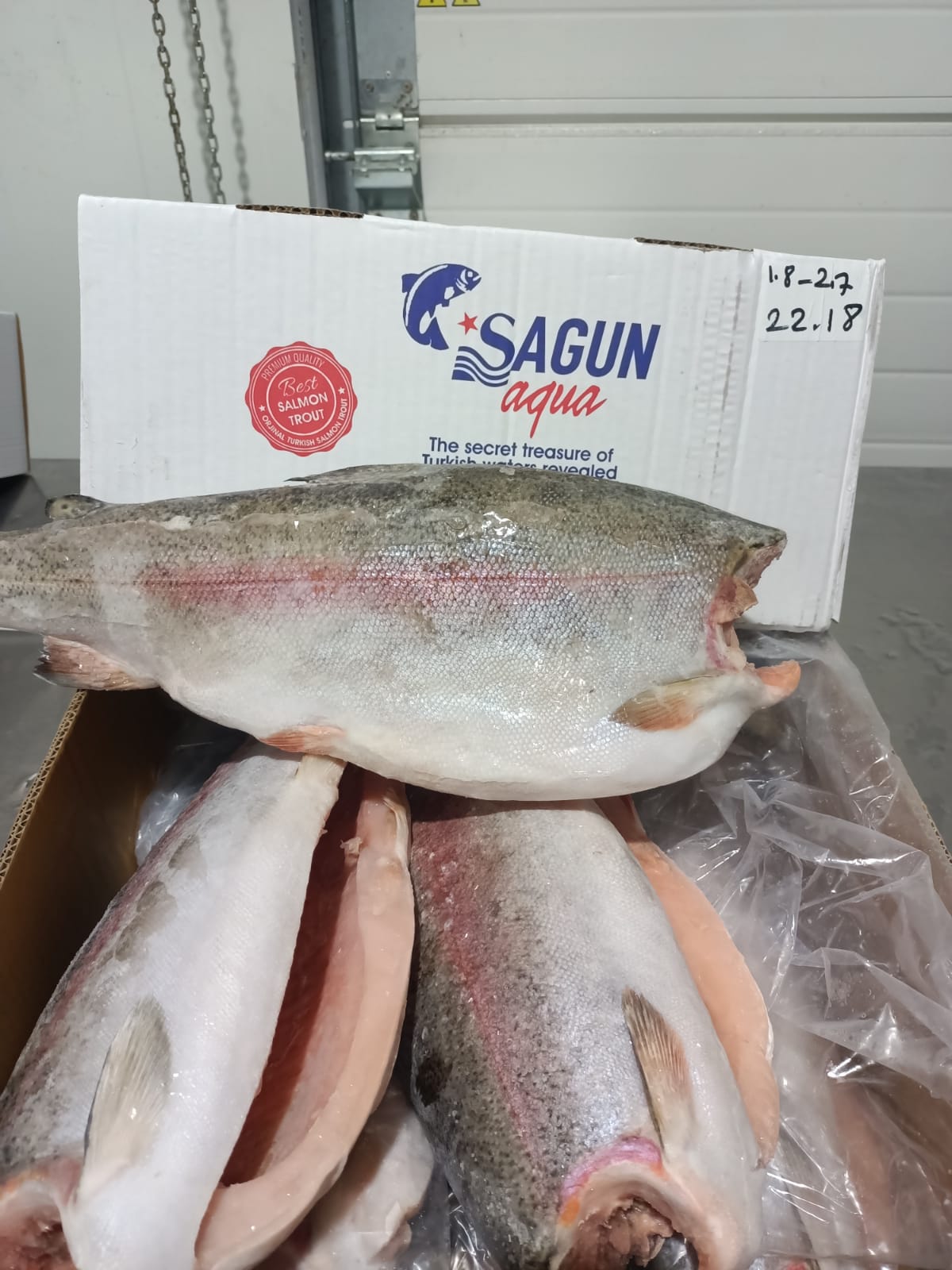 Trucha, Lubina, Dorada, Atún from Turquía